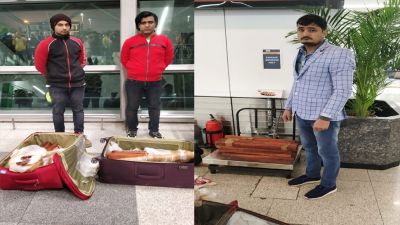 Vicious smugglers carrying concealed goods in bags, CISF searched at IGI Airport