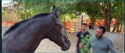 Woman lost Rs. 12 lakh in buying Salman Khan's horse