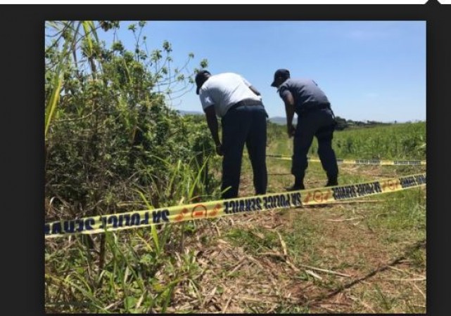 Girl's body found naked hand-tied in the sugarcane field