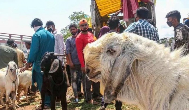 Sensational case of Andhra, the neck of a young man holding a goat cut during the sacrifice