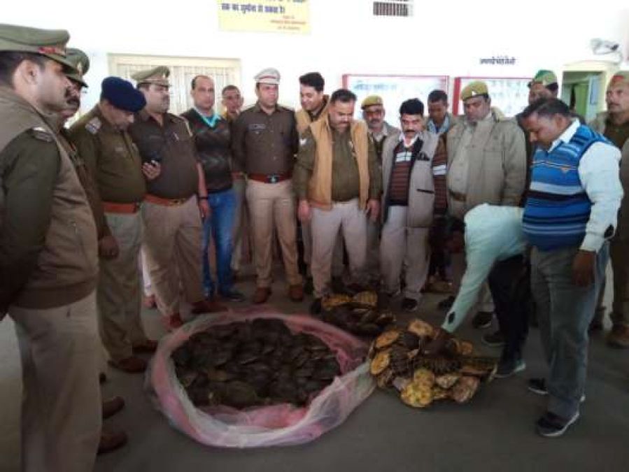 195 turtles being transported from Banaras to West Bengal, 2 smugglers arrested
