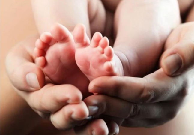 OMG! a mother got a child through surrogacy, after a year the shocking truth came out