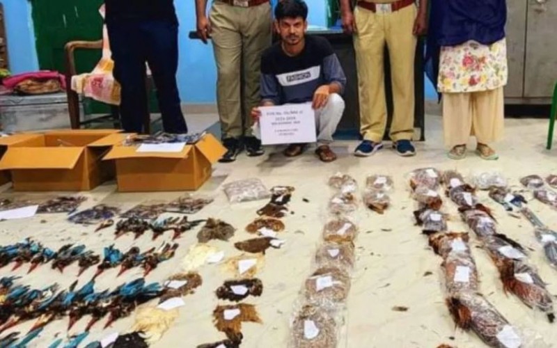 Salahuddin arrested for killing birds and fishes, 933 fish and 168 dried skeletons were recovered