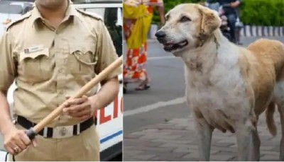 Street dog barked at family, policeman beat him to death, arrested