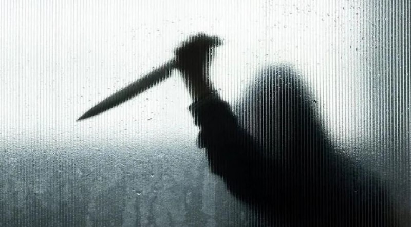 घर में अकेली महिला पर चाक़ू से जानलेवा हमला कर फरार हुए बदमाश, लूट की आशंका
