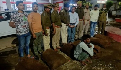 709 turtles stuffed in shaking sacks, UP police arrested the smuggler
