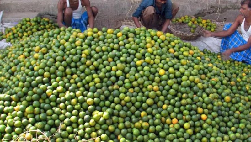 Thieves stole 12 sacks of lemons from vegetable market leaving the rest of the vegetables