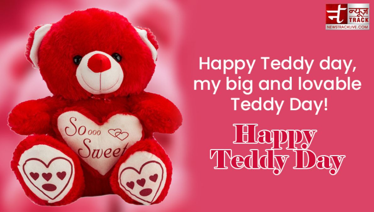 Teddy Day: Send this lovely quotes, images and sms on this special occasion of Teddy Day