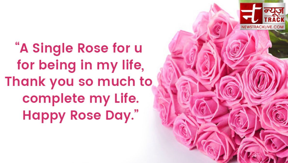 Rose day 2020: Rose day quotes to make this Rose Day special