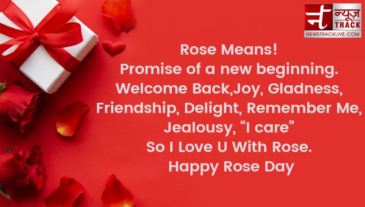 Rose day 2020: Rose day quotes to make this Rose Day special