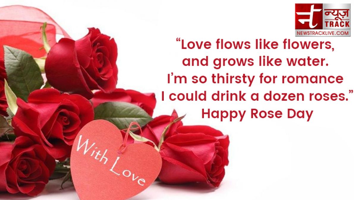 Rose day 2020: Rose day quotes to make this Rose Day special