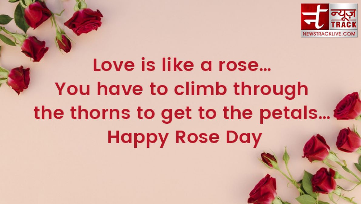 Rose day 2020: Rose day quotes to make this Rose Day special