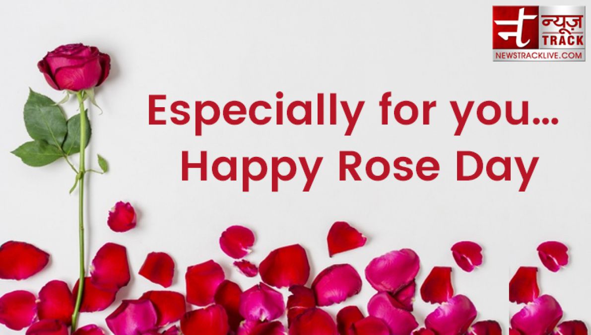 Rose day 2020: Rose day quotes to make this Rose Day special