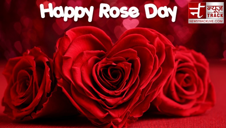Rose Day 2020 Rose Day Quotes To Make This Rose Day Special