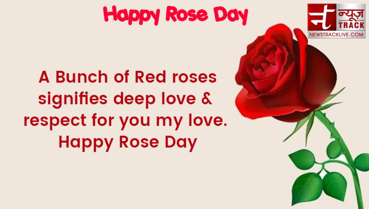 Rose day 2020: Rose day quotes to make this Rose Day special