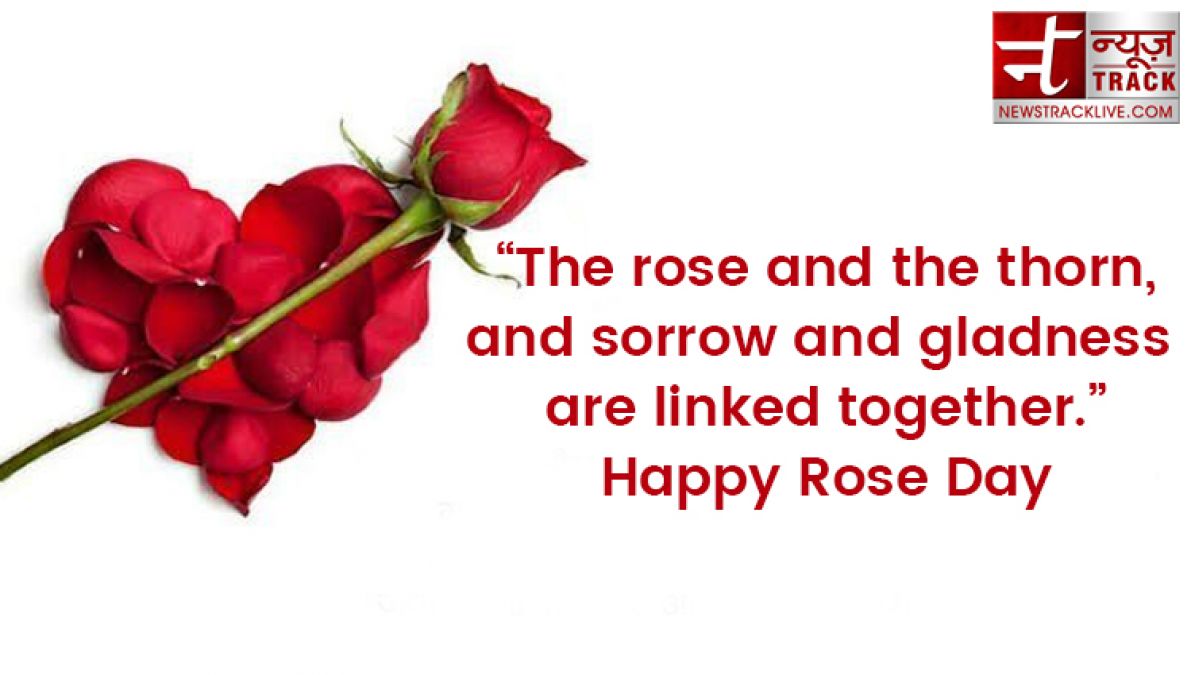 Rose day 2020: Rose day quotes to make this Rose Day special