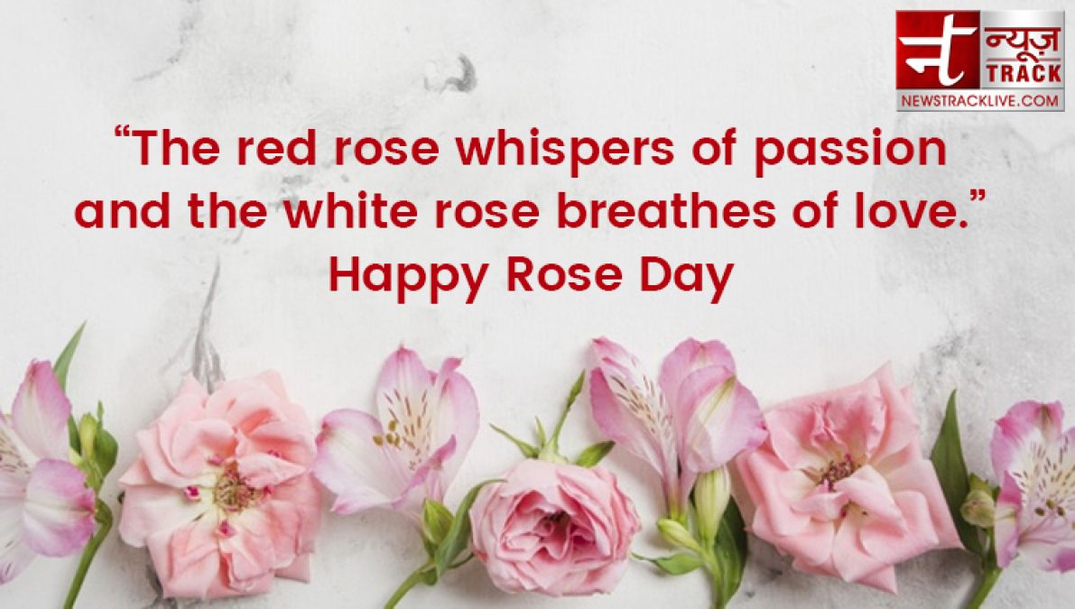 Rose day 2020: Rose day quotes to make this Rose Day special