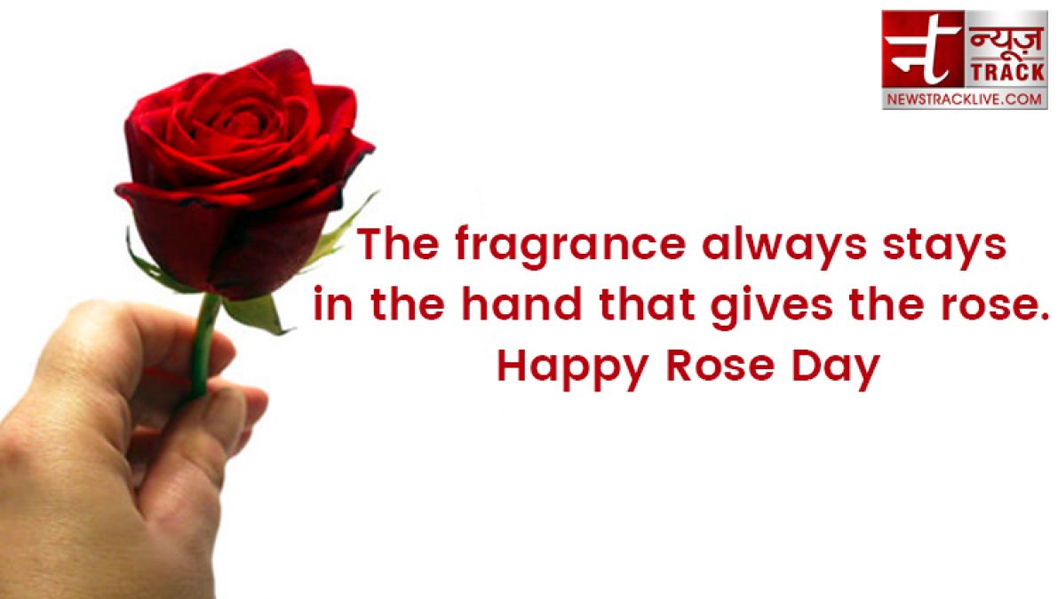 Rose day 2020: Rose day quotes to make this Rose Day special