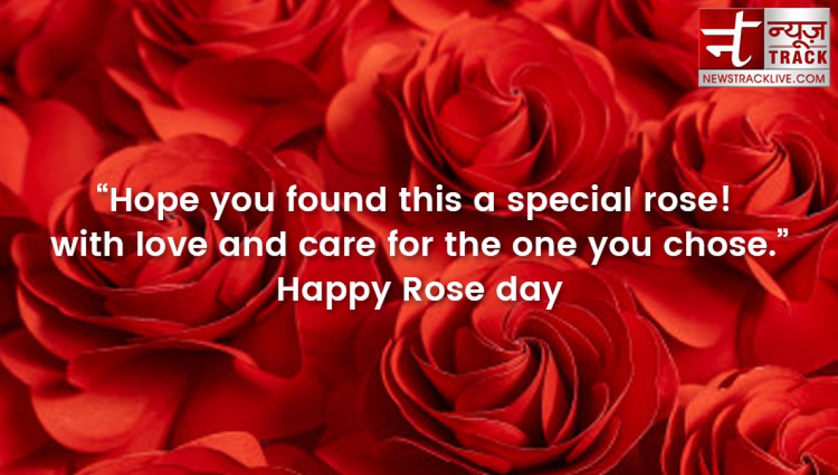 Rose day 2020: Rose day quotes to make this Rose Day special