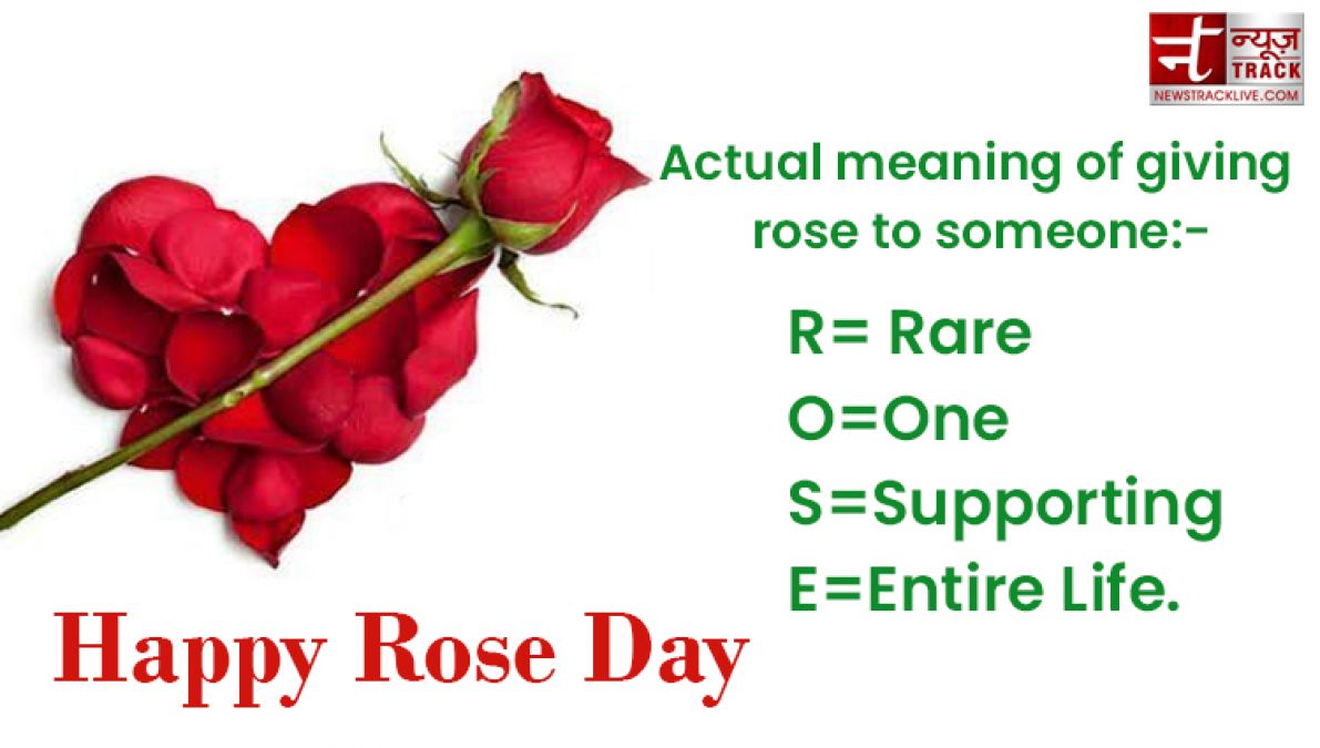 Happy Rose Day : Make your rose day more special by sharing these images to your loved one