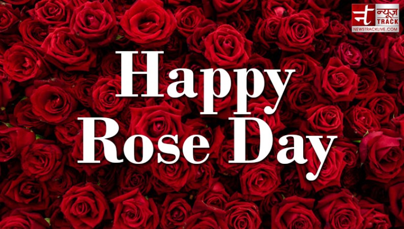 Happy Rose Day : Make your rose day more special by sharing these images to your loved one