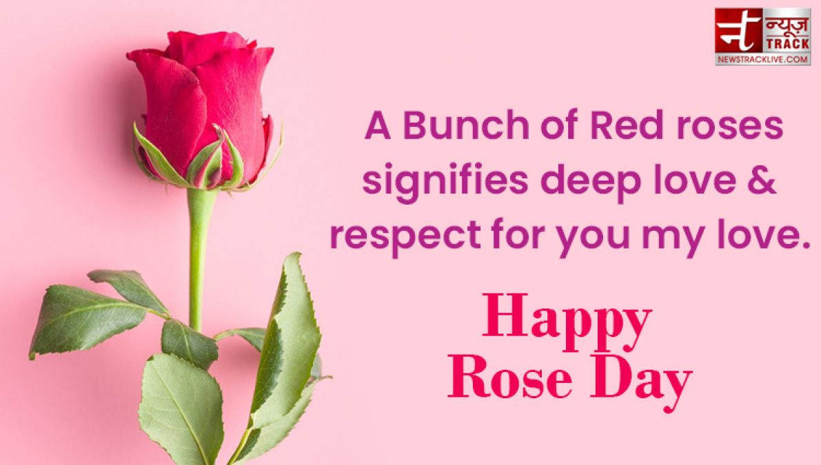 Happy Rose Day : Make your rose day more special by sharing these images to your loved one