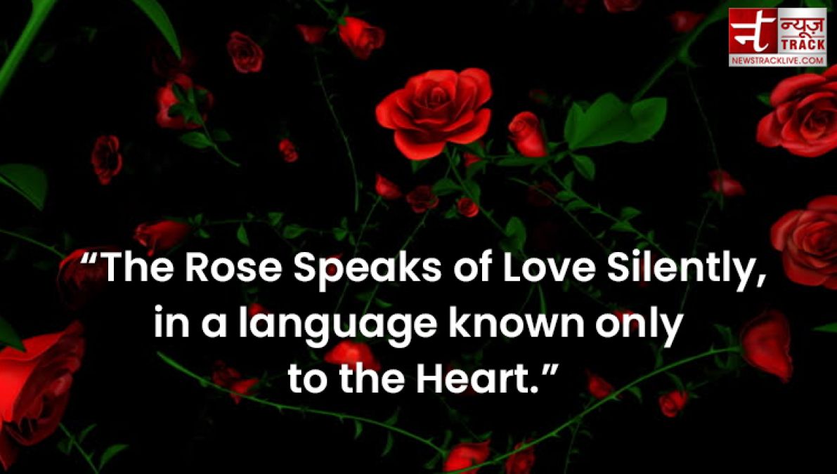 Happy Rose Day : Make your rose day more special by sharing these images to your loved one