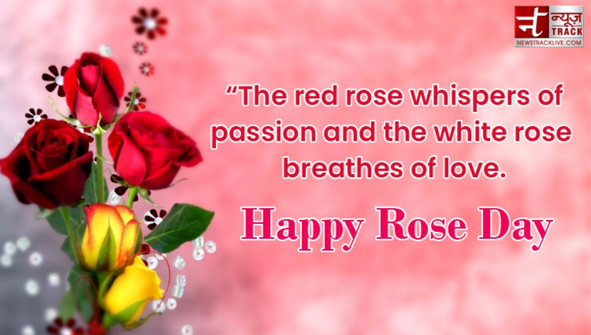 Happy Rose Day : Make your rose day more special by sharing these images to your loved one