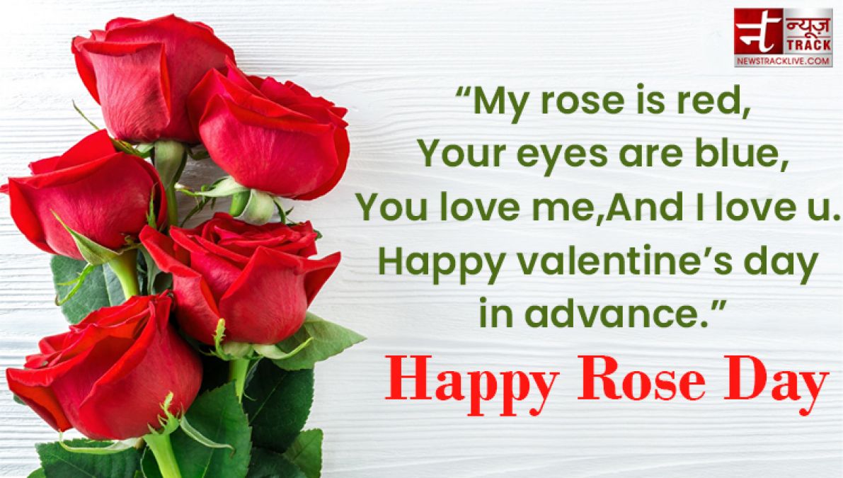 Happy Rose Day : Make your rose day more special by sharing these images to your loved one