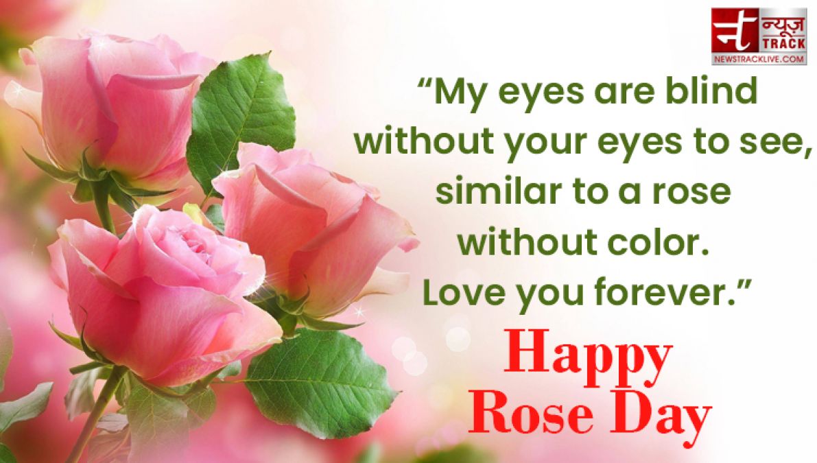 Happy Rose Day : Make your rose day more special by sharing these images to your loved one