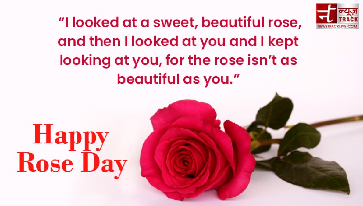 Happy Rose Day : Make your rose day more special by sharing these images to your loved one