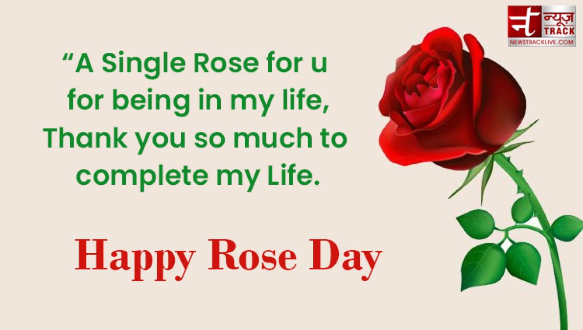 Happy Rose Day : Make your rose day more special by sharing these images to your loved one