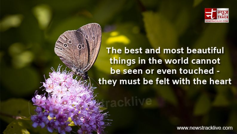 The best and most beautiful things in the world