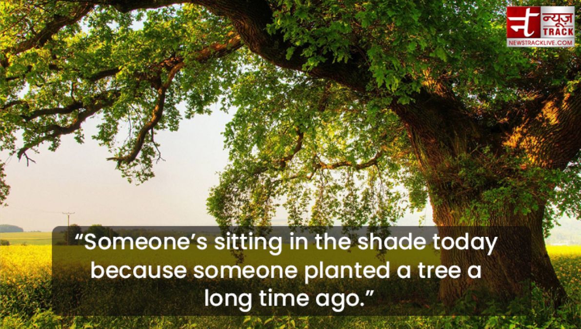 Quote on Tree : Plant a tree today, It will help us breathe tomorrow.