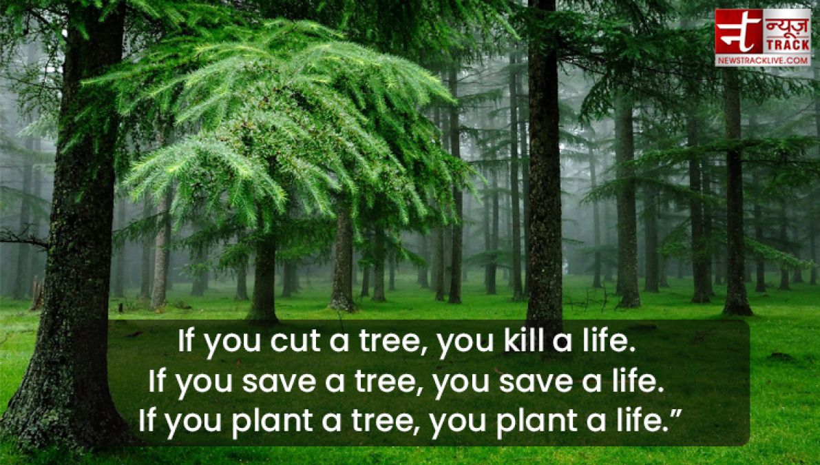 Quote on Tree : Plant a tree today, It will help us breathe tomorrow.