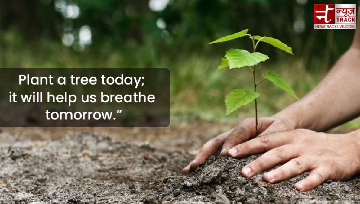 Quote on Tree : Plant a tree today, It will help us breathe tomorrow.