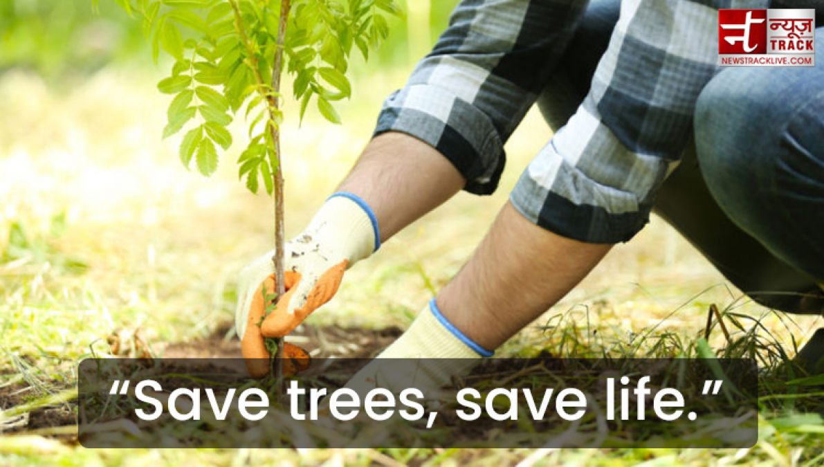 Quote on Tree : Plant a tree today, It will help us breathe tomorrow.