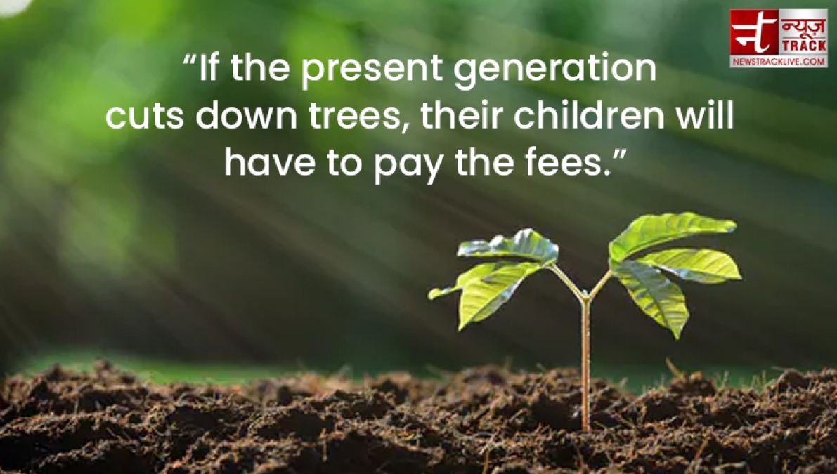 Quote on Tree : Plant a tree today, It will help us breathe tomorrow.