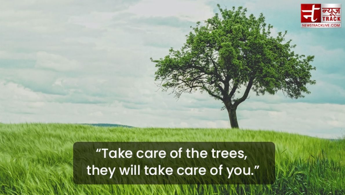 Quote on Tree : Plant a tree today, It will help us breathe tomorrow.