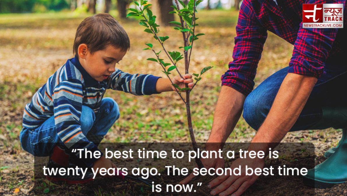 Quote on Tree : Plant a tree today, It will help us breathe tomorrow.