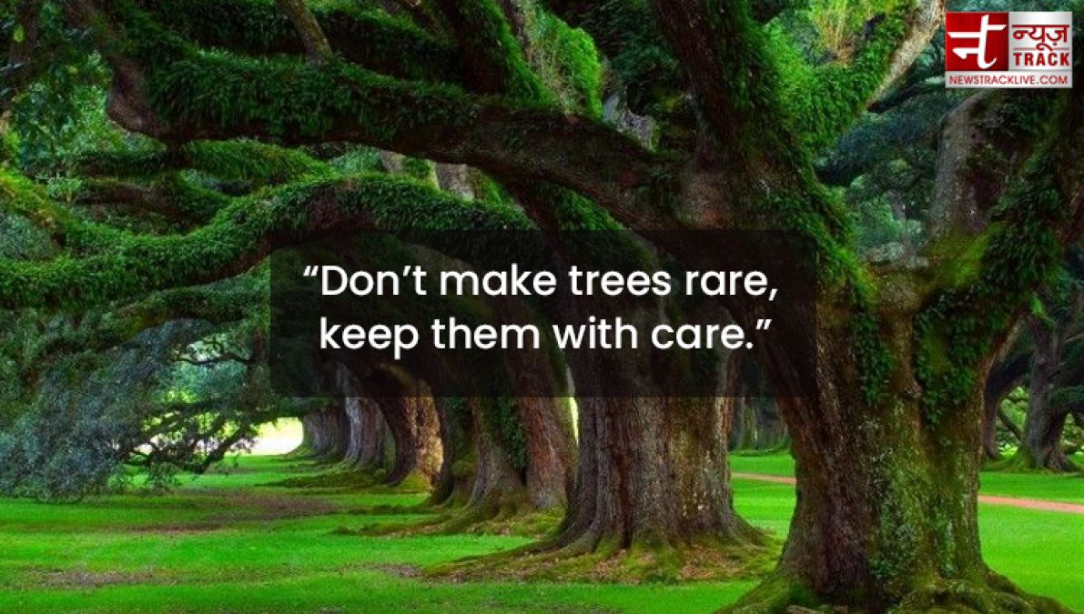 Quote on Tree : Plant a tree today, It will help us breathe tomorrow.