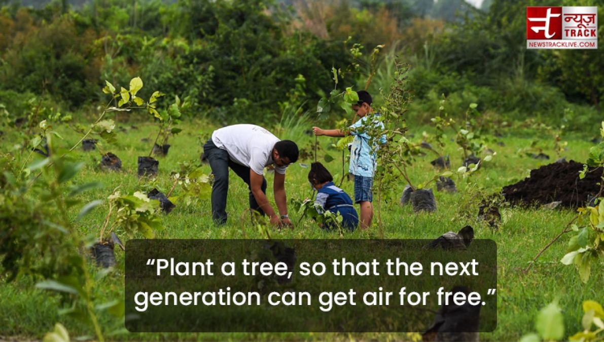 Quote on Tree : Plant a tree today, It will help us breathe tomorrow.