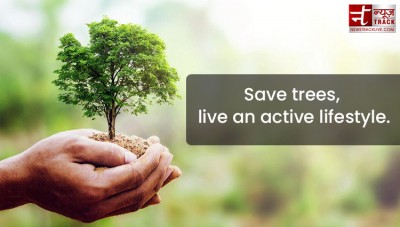 Quote on Tree : Plant a tree today, It will help us breathe tomorrow.