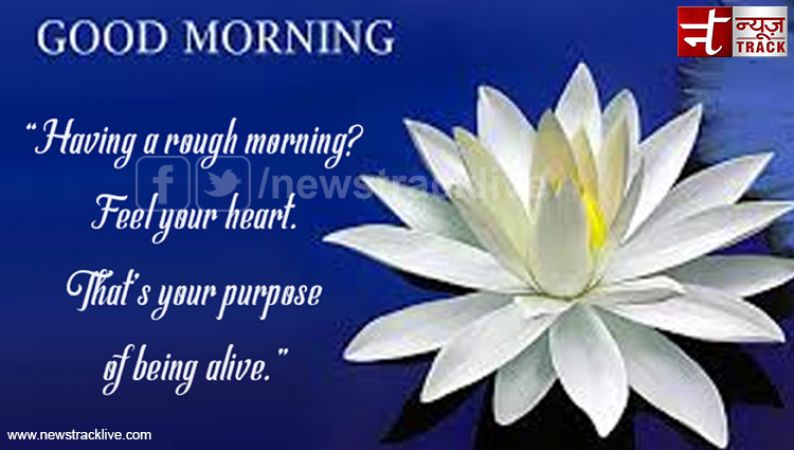 Good Morning your purpose of being alive