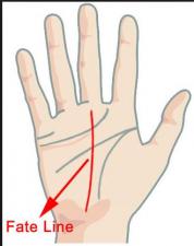 Check what your Palmistry reveals about your Fate….detail with pics inside