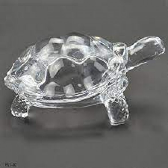 Harnessing the Power of Crystal Tortoises: A Guide to Luck Attraction