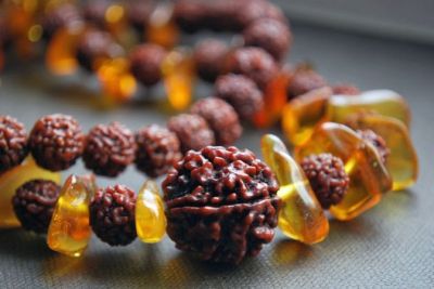 Rudraksha will solve your every problem