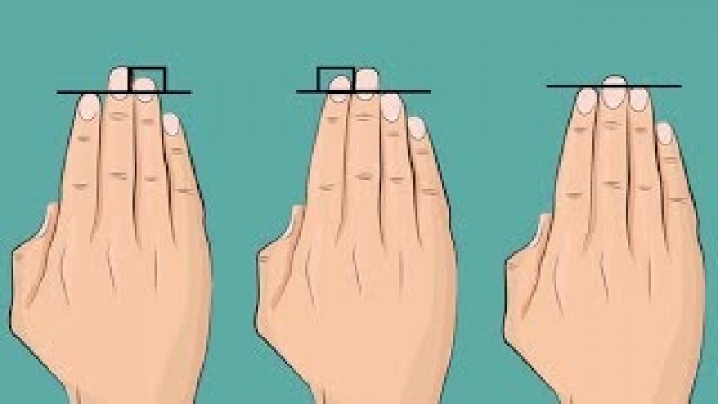 Know how intelligent you are from the length of your fingers, what is your personality?