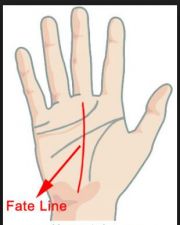 Fate Line Palmistry: Your destiny line reveals much about your career, job and more…detail with pics