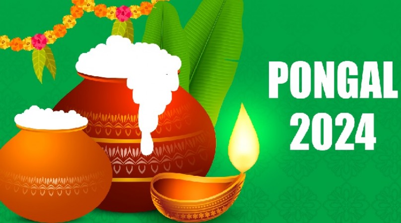 Pongal 2024: Know the Date, History, Significance of the Vibrant Tamil Festival